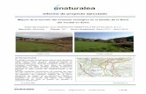 Informe de proyecto ejecutado - Naturalea · Enero de 2017 – imagen del ámbito de los ailantos antes de las actuaciones Octubre 2017 / Noviembre 2017 Noviembre de 2017 – Tala