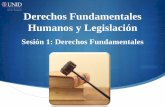 Derechos Fundamentales Humanos y Legislación€¦ · Por tanto aquellos Derechos Fundamentales encaminados a la protección de los principios antes citados podrán encuadrarse en