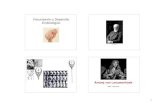 Fecundación y Desarrollo Embriológicowebvision.umh.es/.../Fecundacion_Desarrollo.pdf · Fecundación y Desarrollo Embriológico Antonj van Leeuwenhoek Delft, 1632-1723. 2 Esto que