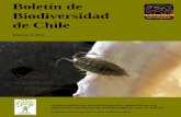 Boletín de Biodiversidad de Chile · 2011-09-03 · (Universidad de Concepción, Centro de Estudios en Biodiversidad ... en este primer aniversario, el acierto que constituyó la