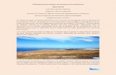 Evolución de los cultivos en Los llanos de las Moriscas llanos de las Moriscas.pdf · entre 1793 y 1806, la producción de cereales en Agaete era de: Especie Fanegas Trigo 630 Cebada