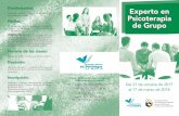Destinatarios: Experto en Psicoterapia · Psicoterapia de Grupo Del 21 de octubre de 2017 al 17 de marzo de 2018 El Colegio Oficial de Psicólogos de Madrid posee el Certificado Europeo