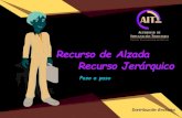 Recurso de Alzada Recurso Jerárquico - Aduana …...Recurso, la Autoridad Regional de Impugnación tiene cinco (5) días para: (Art. 198-II del CTB). Si la ARIT observa el Recurso,