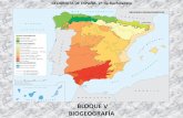 BLOQUE V BIOGEOGRAFÍA - WordPress.com€¦ · La región biogeográfica atlántica (III) No obstante, existen diferencias significativas entre los . sectores litorales, donde la