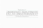 Apéndice 1 ¿indígenas amazónicos en las universidades?aplicaciones.pronabec.gob.pe/CIIPRE/Content/descargas/e6.pdf · Universidad Alas Peruanas 8 1,5% Universidad Católica Los