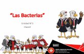 “Las Bacterias” - Arica · Las Bacterias Características Microorganismo procarionte y unicelular. Viven aislados o en colonias. Habitan:suelo, agua, nuestro cuerpo e incluso