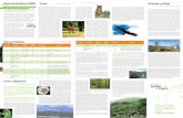 ¿Qué es la Red Natura 2000? Fauna Geología y paisajemontesdetoledo.net/images/archivos_adjuntos...extensión de 40.856 ha. En la comarca ocupa unas 2.972 ha del término municipal