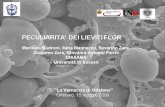 Diapositiva 1 · nutriŽioóale cahe za di N, G), ch&m la l'esórÐsione genica paretecell lare e del suo contenuto i adesipe o foc -uline . Saccharomyces cerevisiae ... day 1 day
