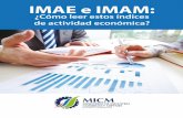 IMAE e IMAM - Ministerio de Industria y Comercio · 2017-03-28 · La agregación de la riqueza que generan unidades microeconómicas ... según establece la nota de prensa del IMAE