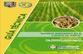 “ASISTENCIA TÉCNICA DIRIGIDA EN MANEJO ...Ventajas del sistema de siembra directa en el cultivo de arroz Menor uso de mano de obra Menor costo de producción Adelanto de cosecha