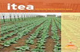aida-itea.org · 2018-06-13 · Sumario Producción Vegetal Reutilización del sustrato degradado de Pleurotus ostreatus. Parámetros cuantitativos. Use of spent mushroom substrate