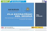 PLA ESTRATÈGIC - Consell Comarcal del Segrià estrategic del... · Pla estratègic del Segrià: Pla d’acció Pàgina 6 5. Resultats esperats: Productes materials, tecnològics