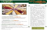 Contenido - MAELA · Si quieres leer completo el manifiesto ingresa al sitio del Boletín La Hoja en la sección de Noticias Mani˜esto salvadoreño por la soberanía alimentaria.