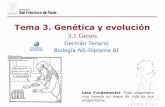 Tema 3. Genética y evolucióndpbiologia.weebly.com/uploads/2/1/5/5/21553524/gtp... · Germán Tenorio Biología NS-Diploma BI Tema 3. Genética y evolución 3.1 Genes Idea Fundamental: