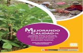 MEJORANDO CALIDAD - Gobagroaldia.minagri.gob.pe/.../guiadecampoparaagricultores.pdf · 2017-03-30 · Mejorando la calidad de nuestra semilla de papa mediante la selección de las