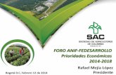FORO ANIF-FEDESARROLLO Prioridades Económicas 2014-2018 Mejia - SAC.pdfBrecha urbano-rural: Pobreza y pobreza extrema ... infraestructura de transporte, educación y servicios públicos,