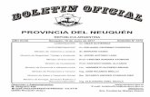 PROVINCIA DEL NEUQUÉN - neuquen.gov.arboficial.neuquen.gov.ar/pdf/bo17061603579.pdf · Desarrollo de la Integración Fronteriza de la Pro-vincia del Neuquén, en el ámbito del Consejo