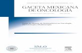 Guías de Manejo de Antieméticos en Oncología, Hematología ... · cuado de pacientes con un régimen de quimioterapia y/o radioterapia. En el año de 1998, la Asociación Multinacional