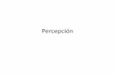 Percepción · Organización perceptual Una figura u objeto es diferente de la suma de sus partes. –Los acontecimientos psicológicos son fenómenos organizados que predisponen