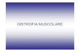 DISTROFIA MUSCOLARE · 2011-04-03 · recessiva, associata (DMD 3-5 anni; ... • Patologia eterogenea • Distruzione dei dischi Z • Distrofia prossimale con disartria • Miopatia