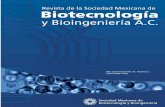 Sociedad Mexicana de Biotecnología y Bioingeniería …...recomendación de aceptación para ser publicados. Los idiomas en los que se puede publicar en la revista son el español