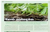  · figura I - Desinfestacão de Sclerotinia sclerotiorum com cultivo de milho milho + Brachiaria ruziziensis (Sistema Santa Fé) seguido de cultivo de soia, de 2008 a 2010 em Jataí,