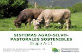 SISTEMAS AGRO-SILVO- PASTORALES SOSTENIBLES...servicios ecosistémicos de los sistemas ganaderos Efectos de la alimentación materna sobre el desarrollo embrionario y la descendencia: