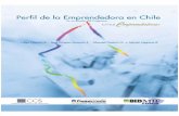 Perfil de la Emprendedora en Chile (CEEM)negocios.udd.cl/files/2010/12/Estudio-Perfil-Emprendedora-Final.pdf · En el marco del componente N° 1, ejecutado por el Centro de Estudios