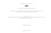 PROVINCIA DEL CHACO CONSEJO FEDERAL DE INVERSIONES ...biblioteca.cfi.org.ar/wp-content/uploads/sites/2/2012/01/49374.pdf · 2. Datos de geometría : (datos de geometría ) El nombre