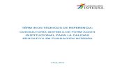 TÉRMINOS TÉCNICOS DE REFERENCIA: CONSULTORÍA SISTEMA …web.integra.cl/web_integra/uploads/terminos version... · Informe 2 (etapa 1): Propuesta de formación institucional coherente