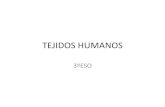 TEJIDOS HUMANOS - Ciencias Naturales en Secundaria · 2016-09-25 · TEJIDOS HUMANOS 3ºESO eon . Created Date: 9/25/2016 11:40:07 AM