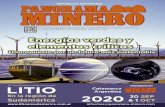 Panorama Minero · 2020-07-07 · PERIODISTA: Lucas Vaccare periodismo@panorama-minero.com LOGÍSTICA Y DISTRIBUCIÓN: ... por la inclusión y desarrollo de la mujer en el sector