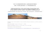 XV CONGRESO ARGENTINO DE VIALIDAD Y TRÁNSITO · 1 PROYECTO DE ESTABILIZACIÓN DEL FALDEO SUR En el proyecto del faldeo sur se ha desarrollado, como primera tarea, la recopilación