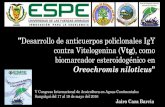 Desarrollo de anticuerpos policlonales IgY contra Vitelogenina …acuacultura.espe.edu.ec/wp-content/uploads/2016/05/6... · 2016-05-19 · "Desarrollo de anticuerpos policlonales