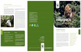 Amazonía - Pandaassets.panda.org/downloads/programa_amazonico.pdf · 2010-10-29 · liosas como el boquichico y la taricaya se han recuperado y los pescadores han duplicado sus ganancias