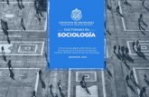 Doctorado en sociologia 2018-2019 v2sociologia.uc.cl/wp-content/uploads/2019/08/doctor... · Sociología de la Pontificia Universidad Católica de Chile al Doctorado en Sociología.
