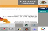 MALFORMACIONES DE VÍAS URINARIAS en el niñoevaluacion.ssm.gob.mx/pdf/gpc/eyr/IMSS-625-13.pdf · En México al igual que en otros países las malformaciones congénitas de las vías