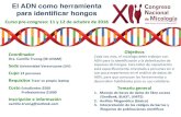 El ADN como herramienta para identiﬁcar hongos · Coordinador Dra.(Camille(Truong((IB4UNAM)((SedeUniversidadVeracruzana(UV)( Cupo(12personas Requisitos(Traersupropialaptop( Costo(Estudiantes$500
