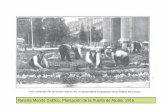 Plantación de bulbosas. Viveros Municipales. 1920. · 2017-03-01 · organización de la Exposición de Flores celebrada en el Retiro en la primavera de 1919. Revista Mundo Gráfico