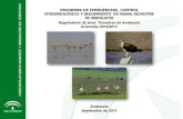 Programa de Emergencias, Control Epidemiológico …...Programa de Emergencias, Control Epidemiológico y Seguimiento de Fauna Silvestre de Andalucía Seguimiento de Aves Terrestres.