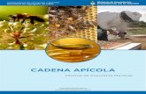 CADENA APÍCOLA - Argentina.gob.ar · N° 159 – Febrero 2016 Informe de Coyuntura Mensual CADENA APÍCOLA Contenidos 1 Comercio de la miel 1 Mercado mundial y nacional 1 Precios