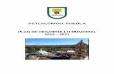 PLAN DE DESARROLLO MUNICIPAL 2018 2021 - Pueblaplaneader.puebla.gob.mx/pdf/Municipales2020/Petlalcingo.pdf · El municipio de Petlalcingo se localiza en la parte sur del Estado de
