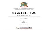 CIUDAD DE CADEREYTA JIMÉNEZcadereyta.gob.mx/.../05/12-GACETA-DICIEMBRE-2016-TOMO-II.pdf2017/05/12  · Secretario de Finanzas y Tesorero Municipal GACETA MUNICIPAL No. 9, DICIEMBRE
