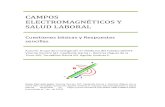 CAMPOS ELECTROMAGNÉTICOS Y SALUD LABORAL · PDF file CAMPOS ELECTROMAGNÉTICOS Y SALUD LABORAL . 2016 . Abstract . The progressive increase of exposure to electromagnetic fields (EMF)