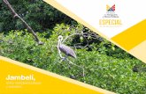 ESPECIAL - Gob · El archipiélago de Jambelí es uno de los más importantes atractivos turísticos de la pro-vincia de El Oro, tiene una extensión de 293m2 y está conformado por