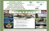 región amazónICa - PARKS AND TRIBES · 2018. 9. 6. · pArque nACiOnAL SumaCo napo-galeraS Andrea Coloma-Santos GeneraLIDaDeS El PNSNG se encuentra al nororiente de Ecuador, entre