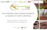 Los impactos del cambio climático al cacao en centro américa · Los impactos del cambio climático al cacao en centro américa Hacia cadenas productivas climáticamente inteligentes