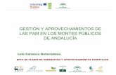 Presentación de PowerPoint - ValuePAM EN ANDALUCIA pt.pdf · Red Natura 2000 y área de probabilidad Thymus zygis Según la Ley 2/1992, de 15 de junio, Forestal de Andalucía y el