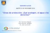 Presentación de PowerPoint · Oscar Reicher, abogado Dr. José Luis Arumi SEMINARIO ALHSUD “Áreas de protección: ¿Qué protegen, el agua o los ... Presentación de PowerPoint