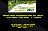 MANEJO DE ENFERMEDADES FOLIARES Y ... produccion de mani 2016...WORKSHOP MANI Mendoza, agosto de 2007 Pérdidas causadas por viruela en la campaña 2006/07: 20-40x106 dólares Areas